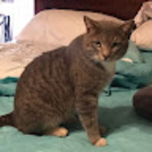 Meet your Posher, William